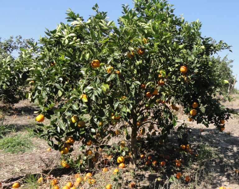 WhatsApp-Image-2024-05-27-at-14.43.53